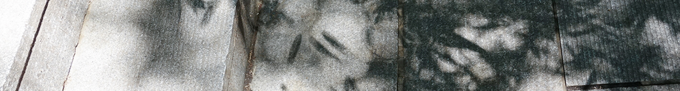 十五耶的個(gè)人主頁（封面預(yù)覽） - 主頁封面設(shè)置 - 站酷設(shè)計(jì)師十五耶原創(chuàng)素材 - 站酷ZCOOL