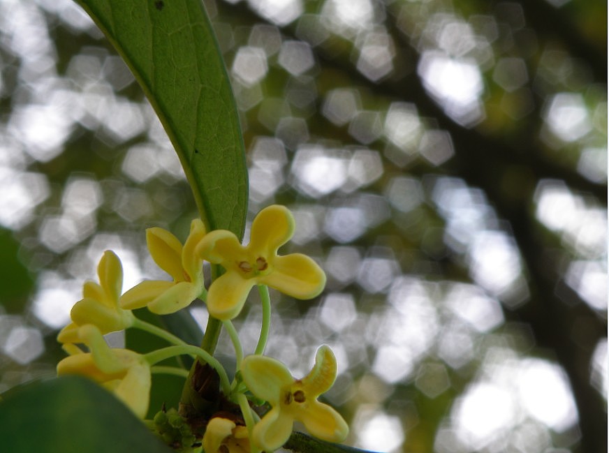 生活杂拍（图ZMjQ4ODY1Ng==） - 风光摄影 - 站酷设计师lmzlucky12原创素材 - 站酷ZCOOL