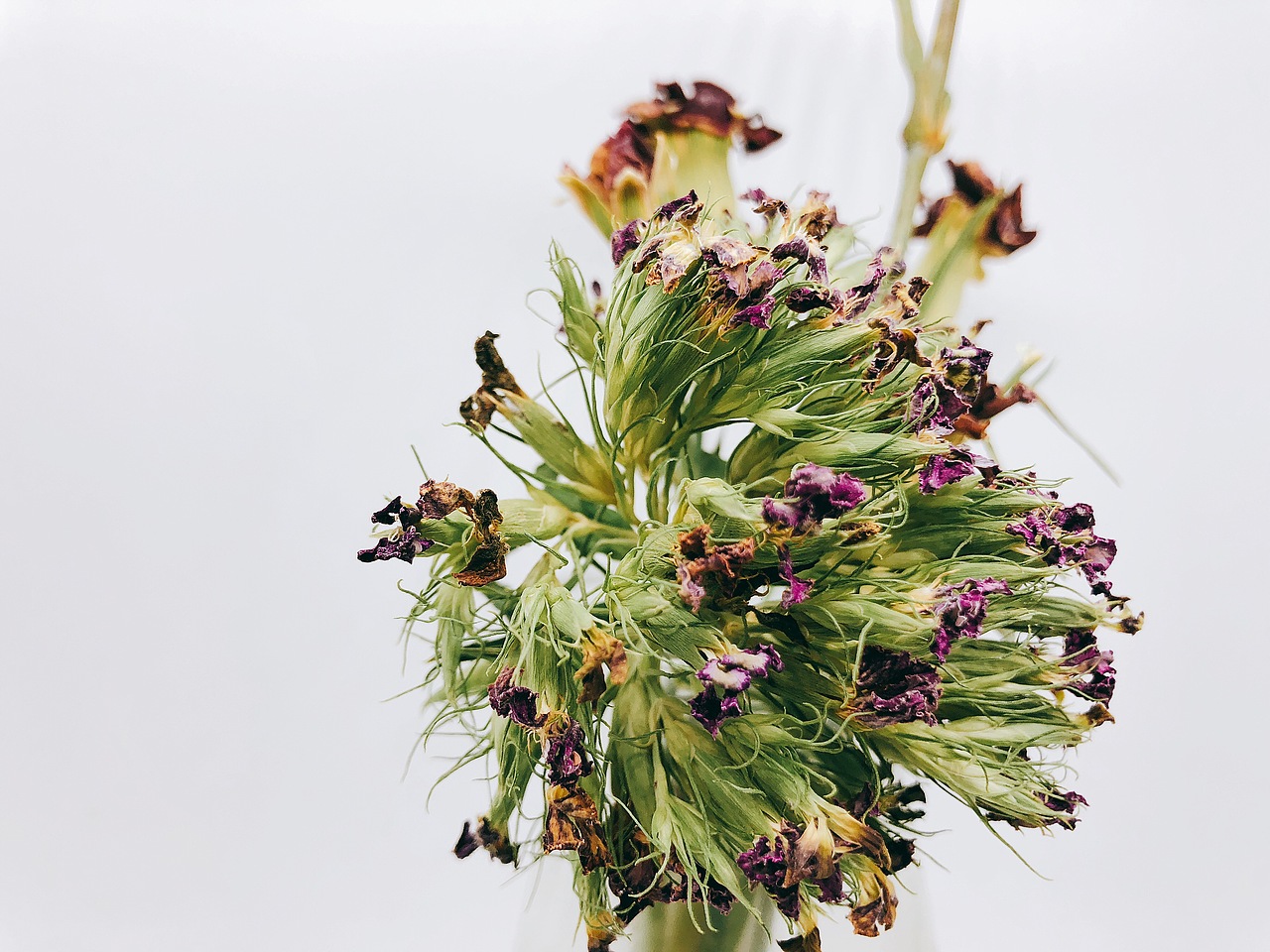 啦啦啦（图ZMzE1Mzc3Nzc2） - 其他摄影 - 站酷设计师迪兰迪兰原创素材 - 站酷ZCOOL