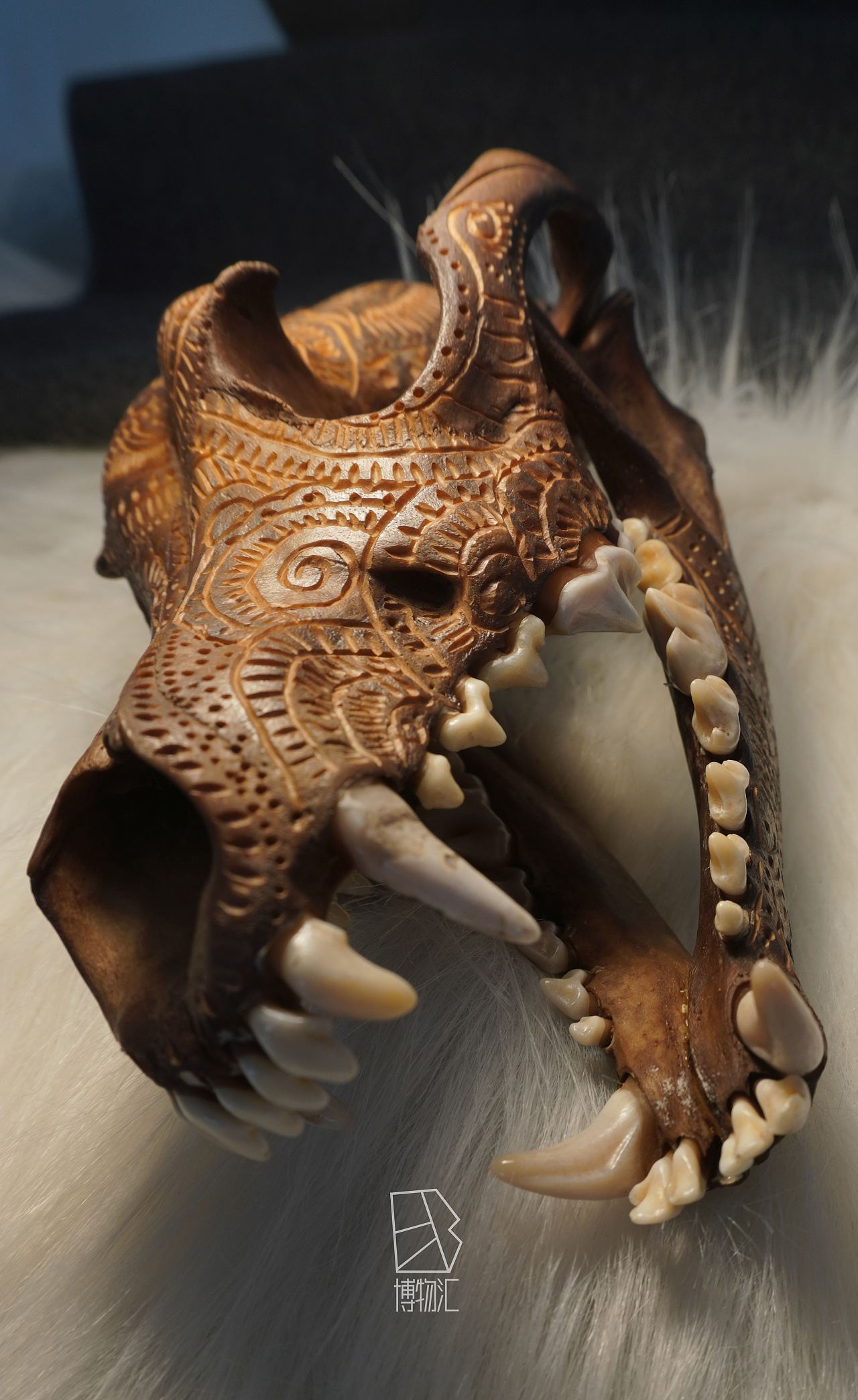 狗头骨雕艺术品|空间|家装设计|潦草线条 - 原创作品 - 站酷 (zcool)