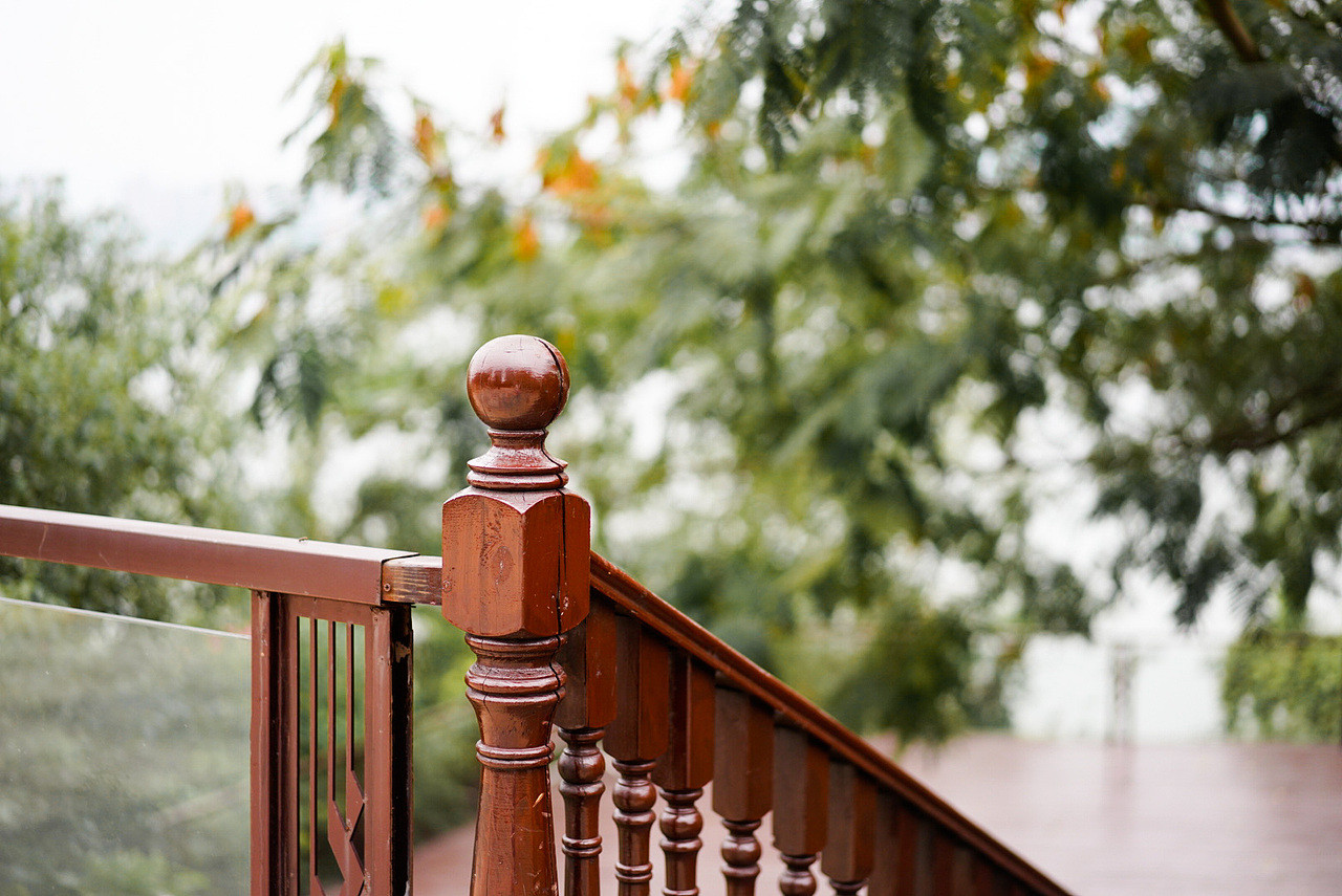 别过夏花绚烂,走进秋晨静美