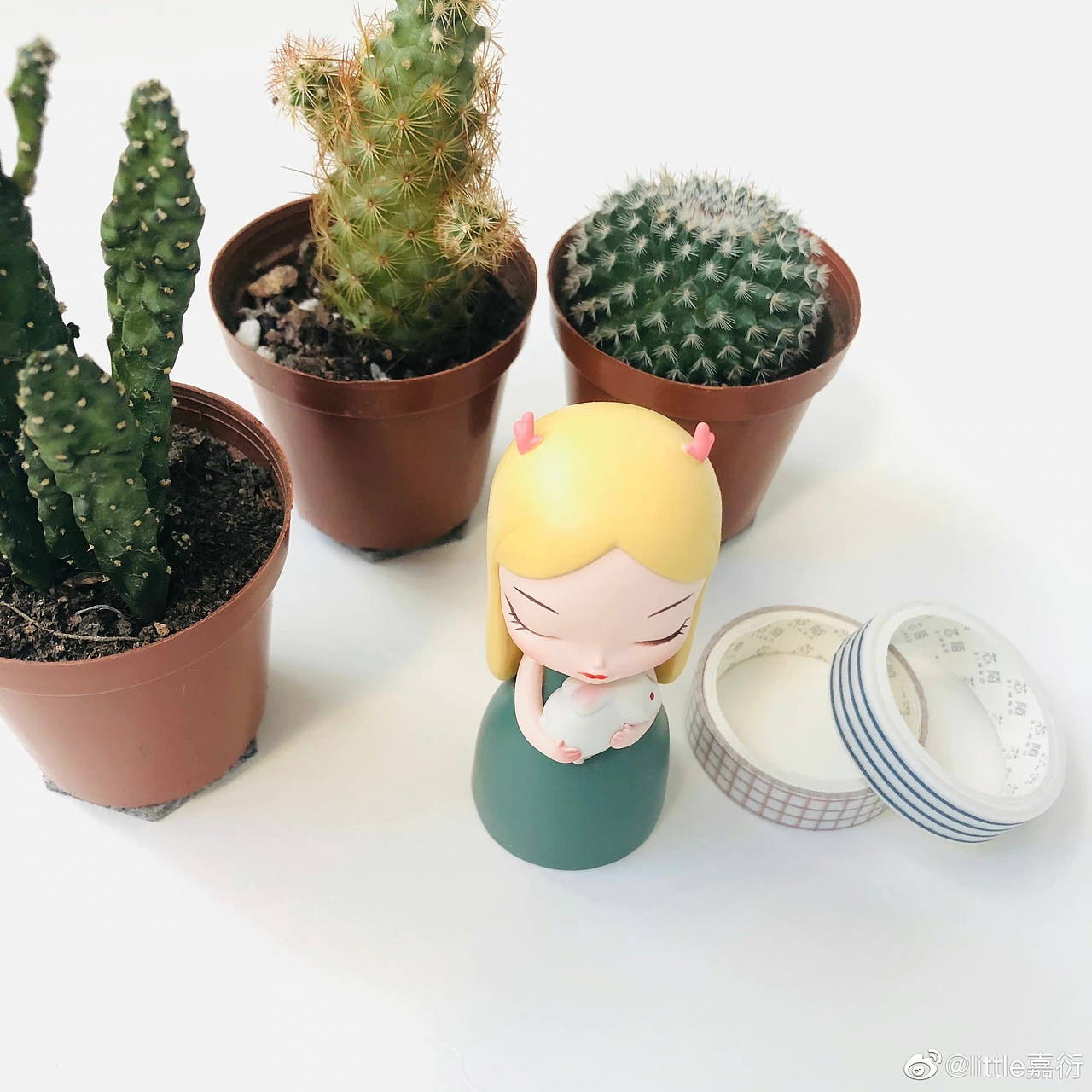 丝瓜络家居产品设计