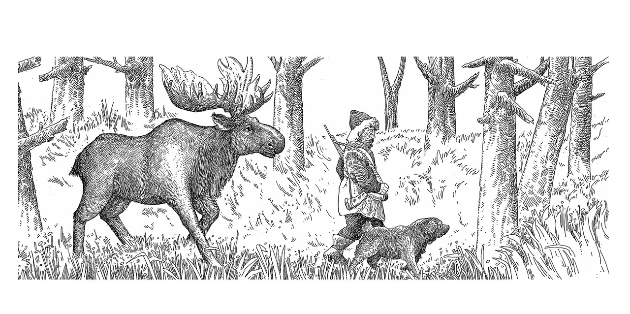 2022年已出版手绘钢笔画儿童小说插图整理