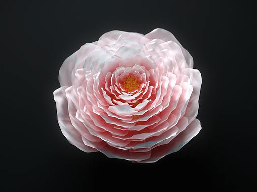 盛開 Bloom（個人主頁-ZNTA1MjI1MDQ=） - 動畫/影視 - 站酷設(shè)計師KRISKANG原創(chuàng)素材 - 站酷ZCOOL