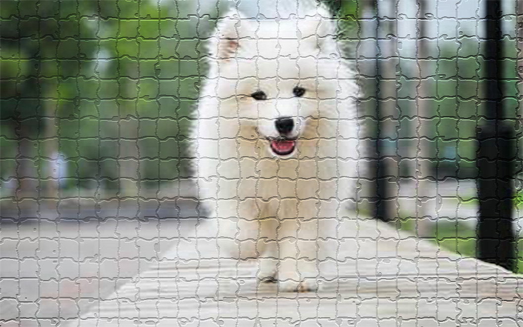 小狗马赛克拼接