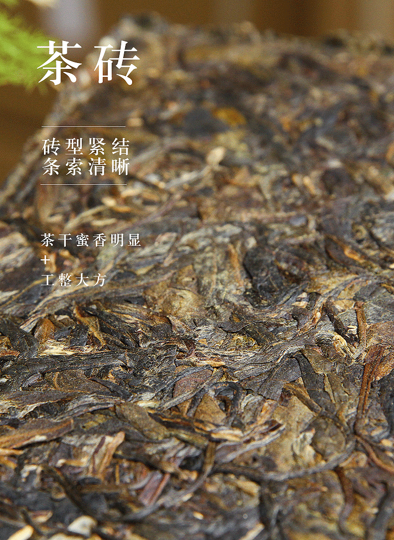 【作品集】个人摄影+排版设计（图ZMjAxMTE2MjU2） - 其他平面 - 站酷设计师微草堂狐仙大人原创素材 - 站酷ZCOOL