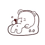 权权熊的头像