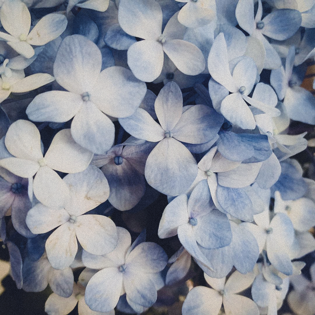 zZ郑端午的个人主页（封面预览） - 主页封面设置 - 站酷设计师zZ郑端午原创素材 - 站酷ZCOOL