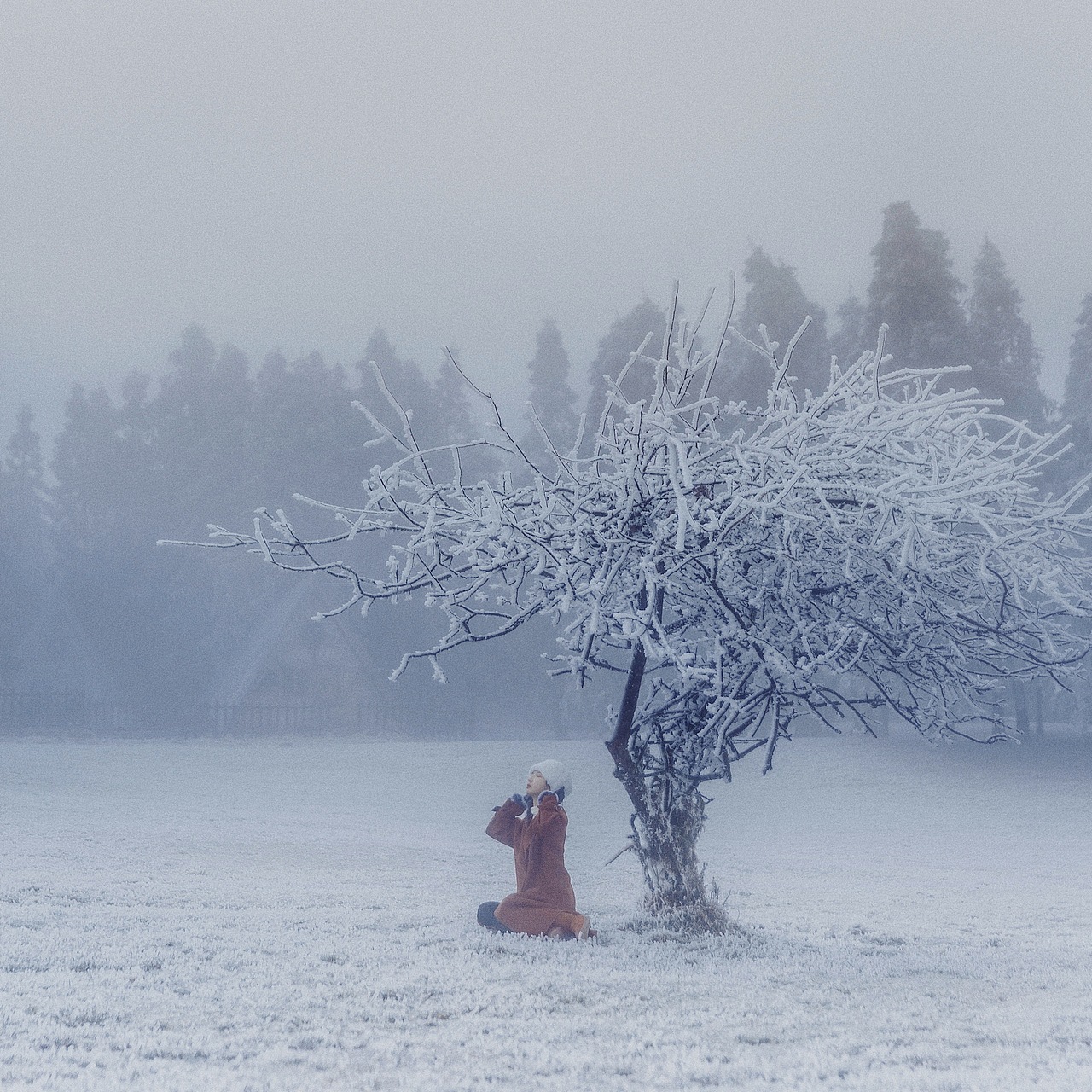 关于雅馨的一周年特辑（图ZMTc4Mzg3MTYw） - 人像摄影 - 站酷设计师ARTLee小杰原创素材 - 站酷ZCOOL
