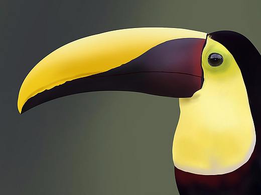 手繪課畢業(yè)作業(yè)集（個(gè)人主頁-ZMzA2OTY5MjA=） - 創(chuàng)作習(xí)作 - 站酷設(shè)計(jì)師meng萌萌貓?jiān)瓌?chuàng)素材 - 站酷ZCOOL