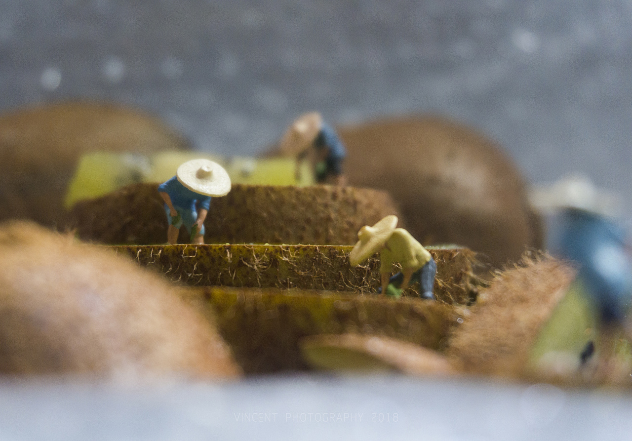 小人的日常摄影|微观视界vct