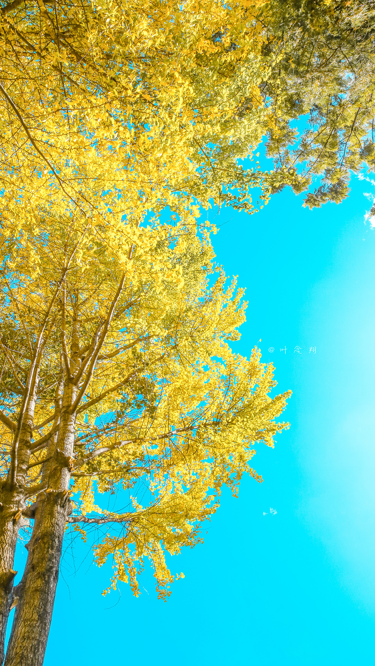 大理古城的秋（图ZMTg4ODUwMzQ0） - 风光摄影 - 站酷设计师叶念翔原创素材 - 站酷ZCOOL