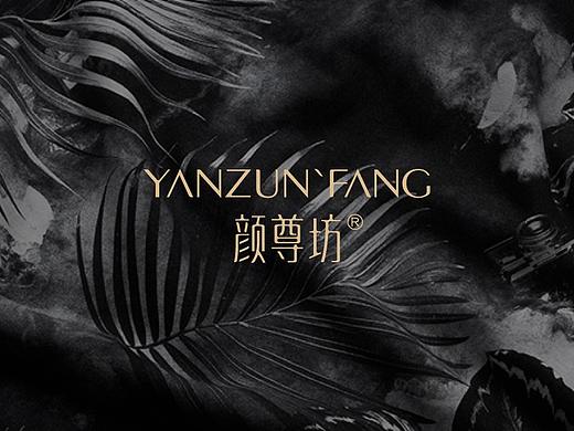 颜尊坊品牌VIS设计