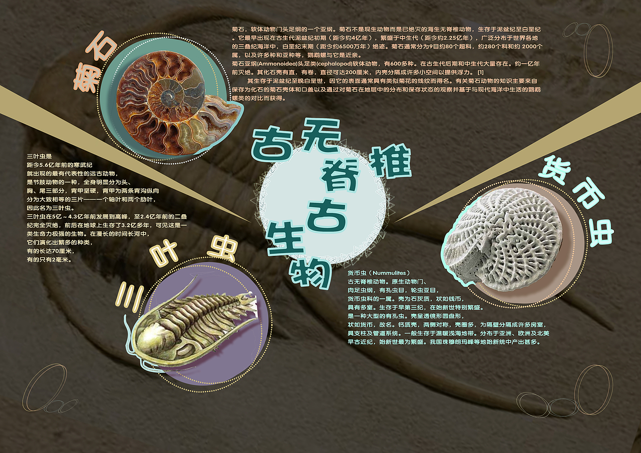 探秘古生物图书版式设计（图ZMjA3MzkyNzM2） - 书籍/画册 - 站酷设计师哈士芬奇原创素材 - 站酷ZCOOL