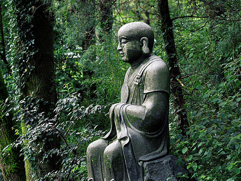 苍山绿色