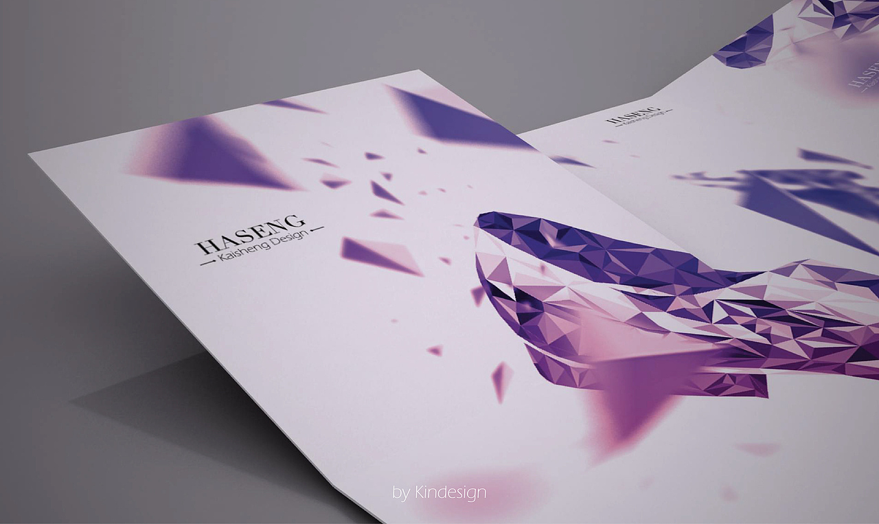 HASENG系列画册（图ZOTE0NzMxMg==） - 其他平面 - 站酷设计师大空逸_kin原创素材 - 站酷ZCOOL
