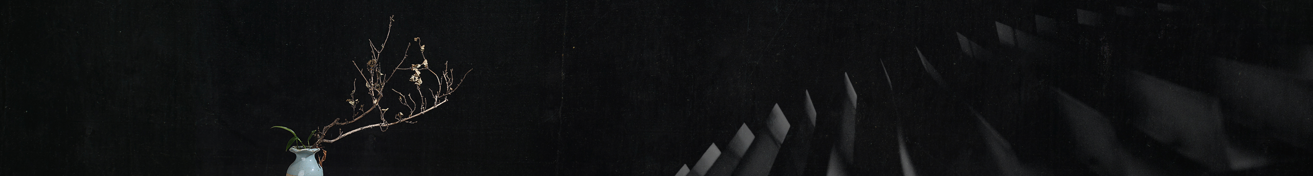 洛苏carrie的个人主页（封面预览） - 主页封面设置 - 站酷设计师洛苏carrie原创素材 - 站酷ZCOOL