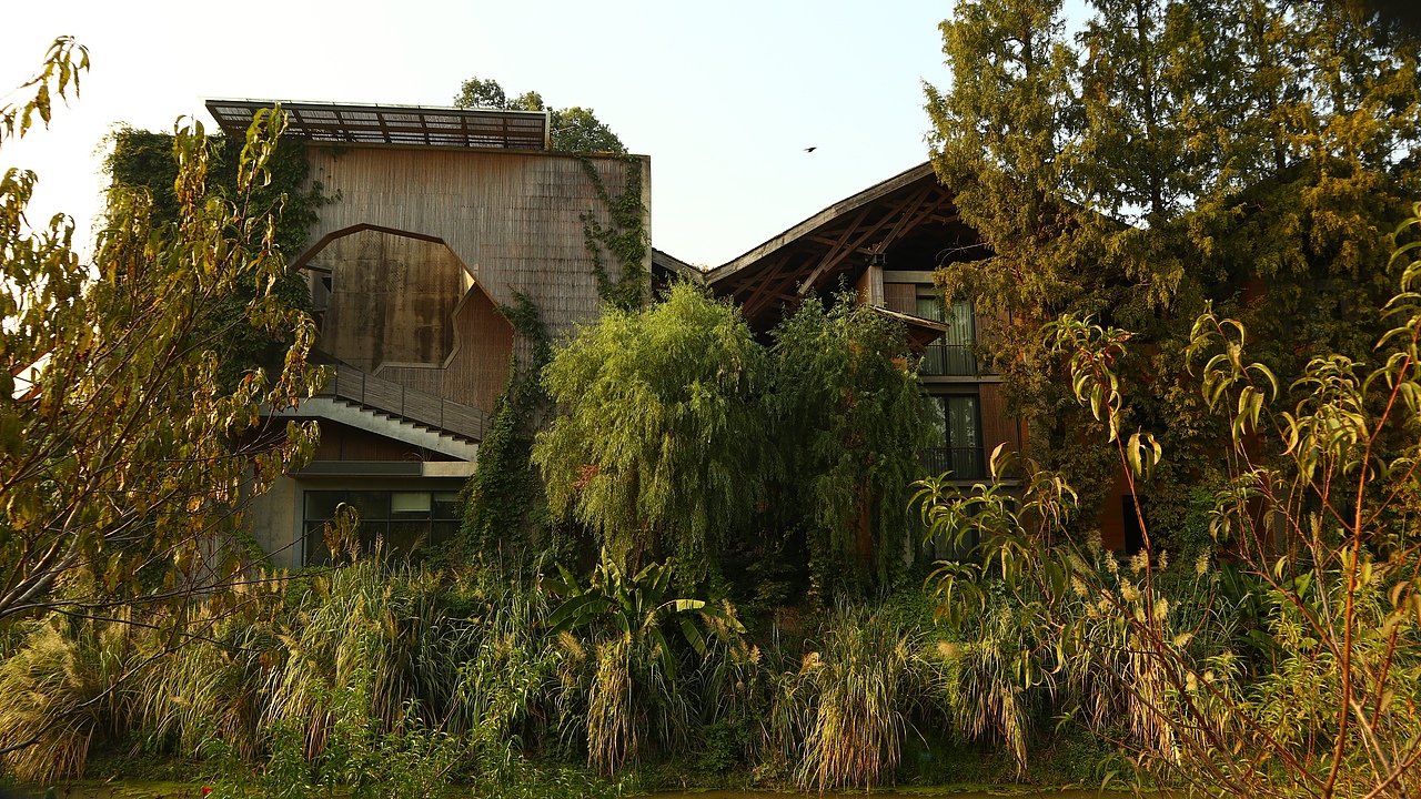 中国美院摄影 人文 风光游记