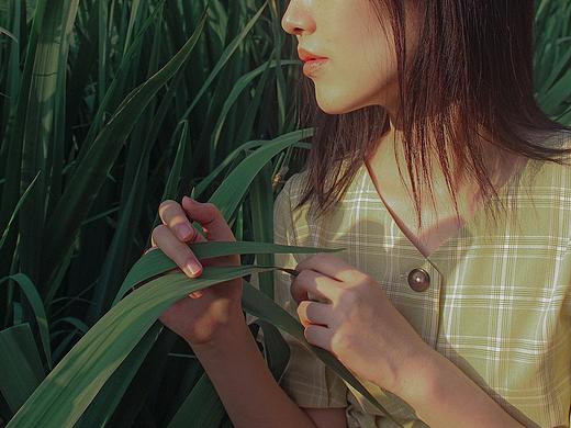 柒月昭昭，听风拂耳