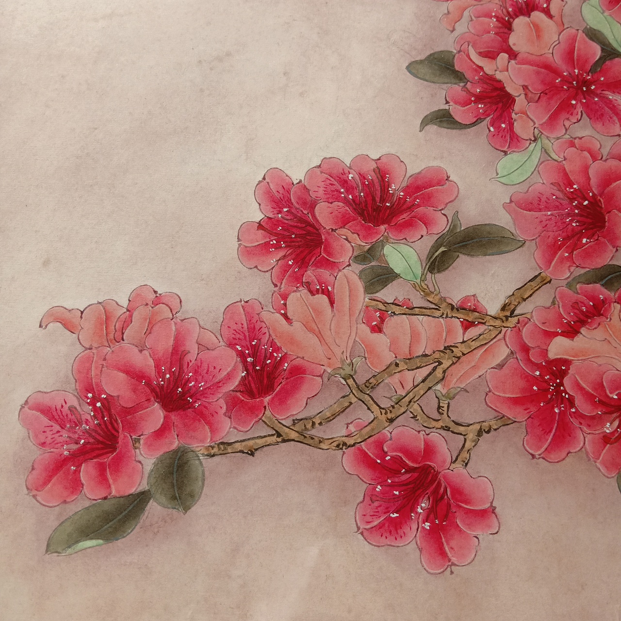 映山红练习作品