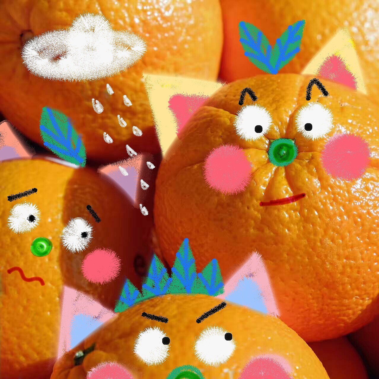 照片涂鸦玩起来