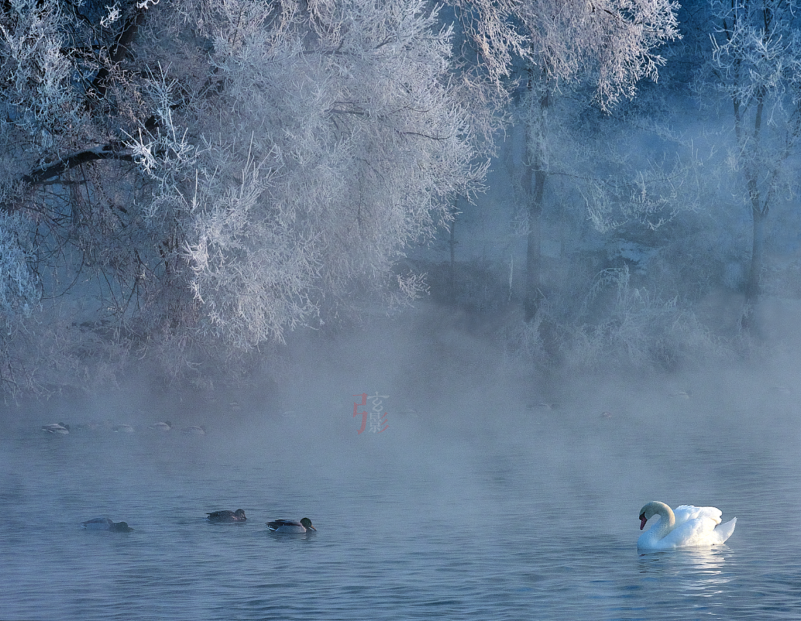 蓝调舞曲（图ZMzMxMTQ1NDQw） - 时尚/艺术摄影 - 站酷设计师陈弦影原创素材 - 站酷ZCOOL