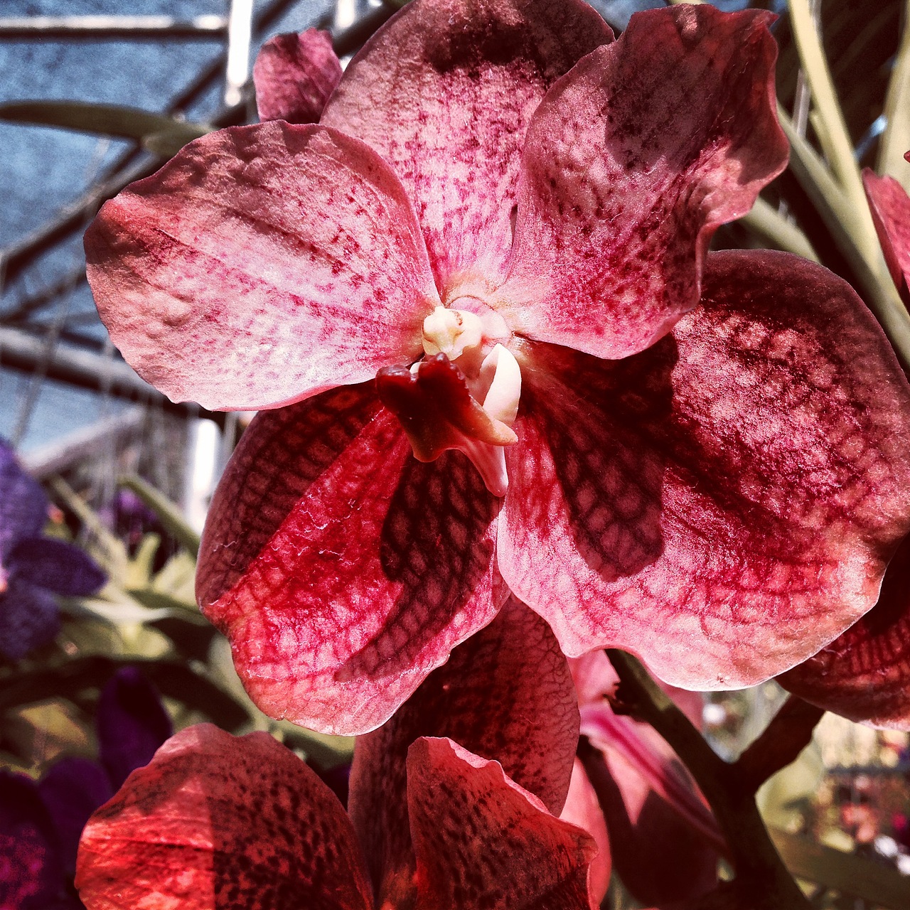 2014年3月泰国清迈