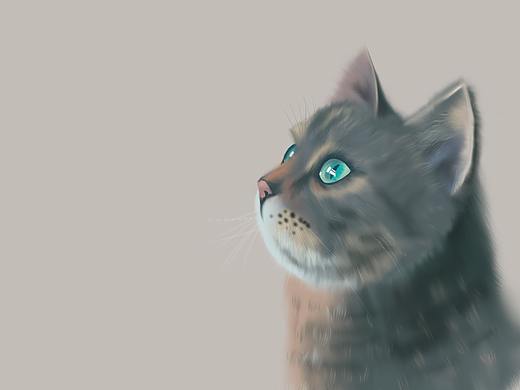 毛茸茸的小可爱