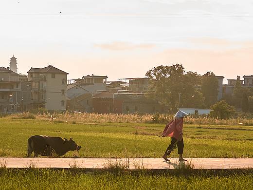 夏日（個(gè)人主頁(yè)-ZNTY3NjIyNzI=） - 風(fēng)光攝影 - 站酷設(shè)計(jì)師慧慧梓原創(chuàng)素材 - 站酷ZCOOL