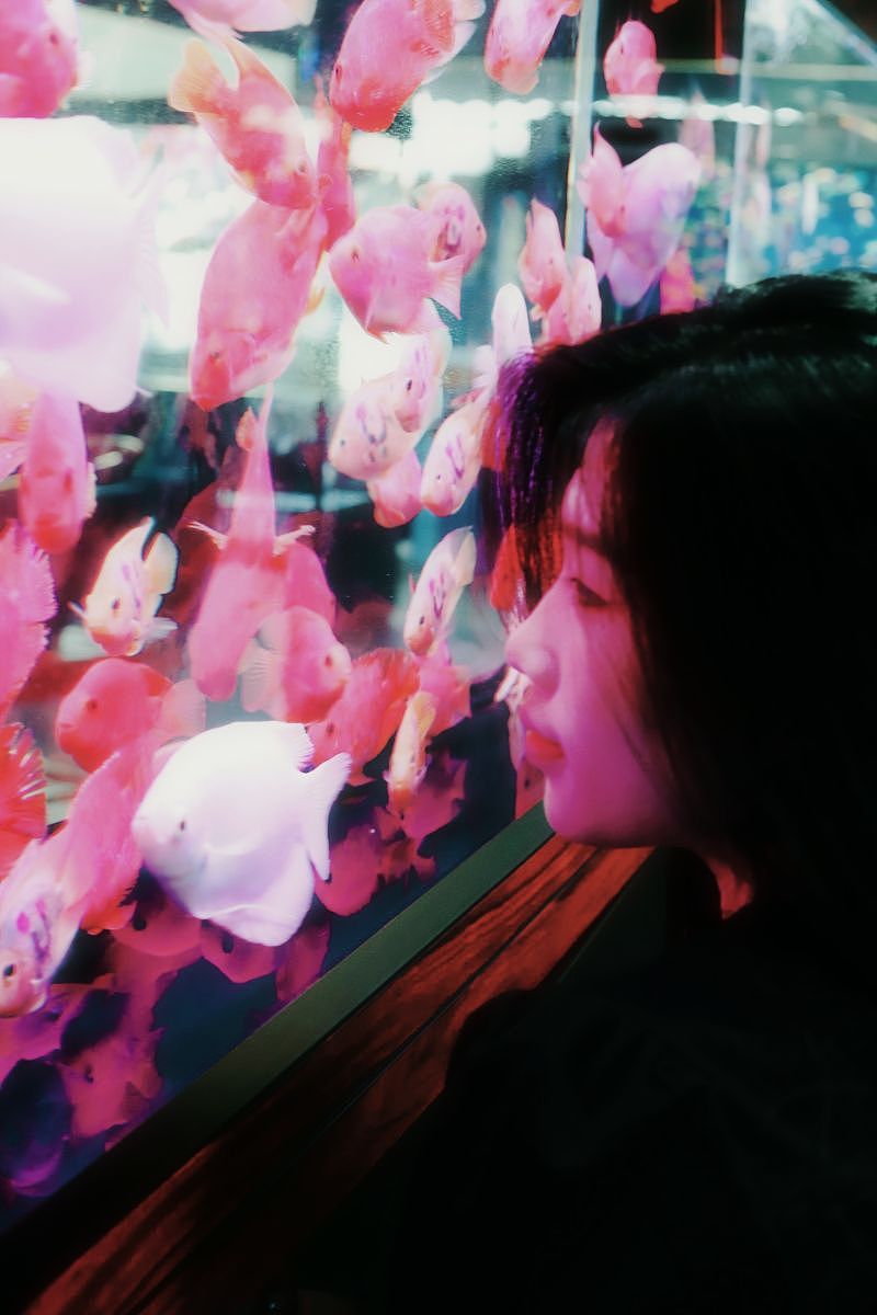 池中鱼｜约拍（2）好看的我要放这里！