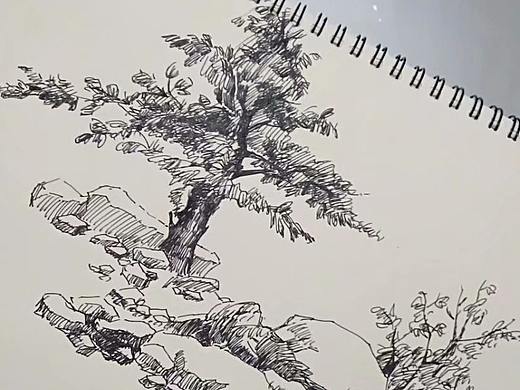 每日一练（个人主页-ZMjkxMDcxNDQ=） - 绘画 - 站酷设计师雪伯赤猫原创素材 - 站酷ZCOOL