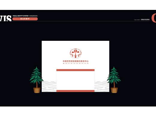 VI视觉识别系统