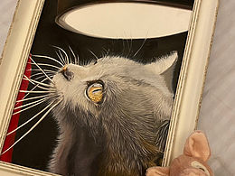 （彩铅画）撸一只猫咪