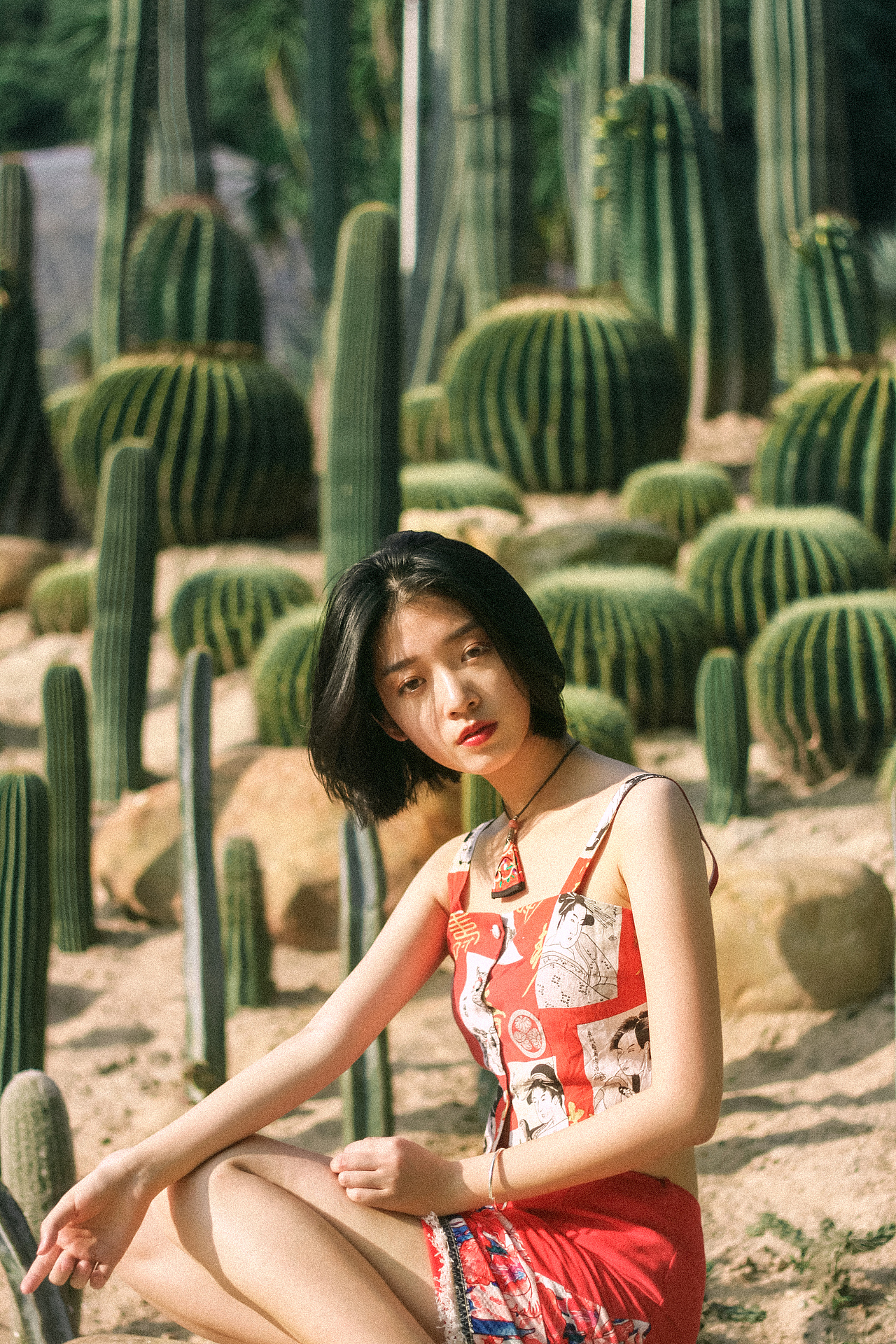 仙人掌（图ZNzg3MzcxMjQ=） - 人像摄影 - 站酷设计师L猫不吃鱼原创素材 - 站酷ZCOOL