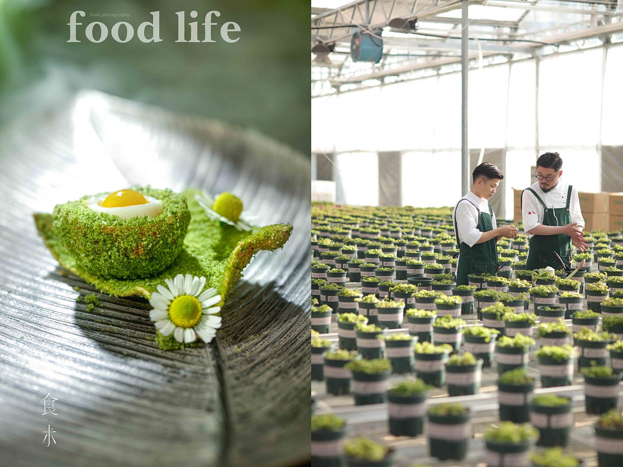 食术FOODLIFE / TOMATO & PEPPER 米其林法餐厅 春季