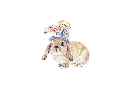 一只兔子（個人主頁-ZNTA0MDkwMTI=） - 藝術(shù)插畫 - 站酷設(shè)計師臟男孩原創(chuàng)素材 - 站酷ZCOOL