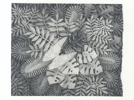 寂（個人主頁-ZNTIyNzk0NDA=） - 藝術(shù)插畫 - 站酷設(shè)計師白芷之事原創(chuàng)素材 - 站酷ZCOOL