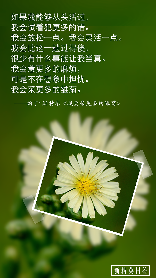 新精英日签（0215-0223）（图ZNDI0Mjc3MjA=） - 其他平面 - 站酷设计师Intergirl原创素材 - 站酷ZCOOL