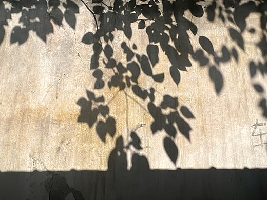 关于夏天和秋天的一些生活碎片素材