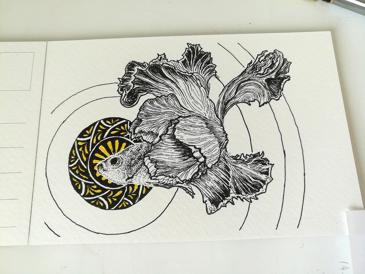 斗鱼曼陀罗（图ZOTA2NTk3NDg=） - 绘画 - 站酷设计师老树林原创素材 - 站酷ZCOOL