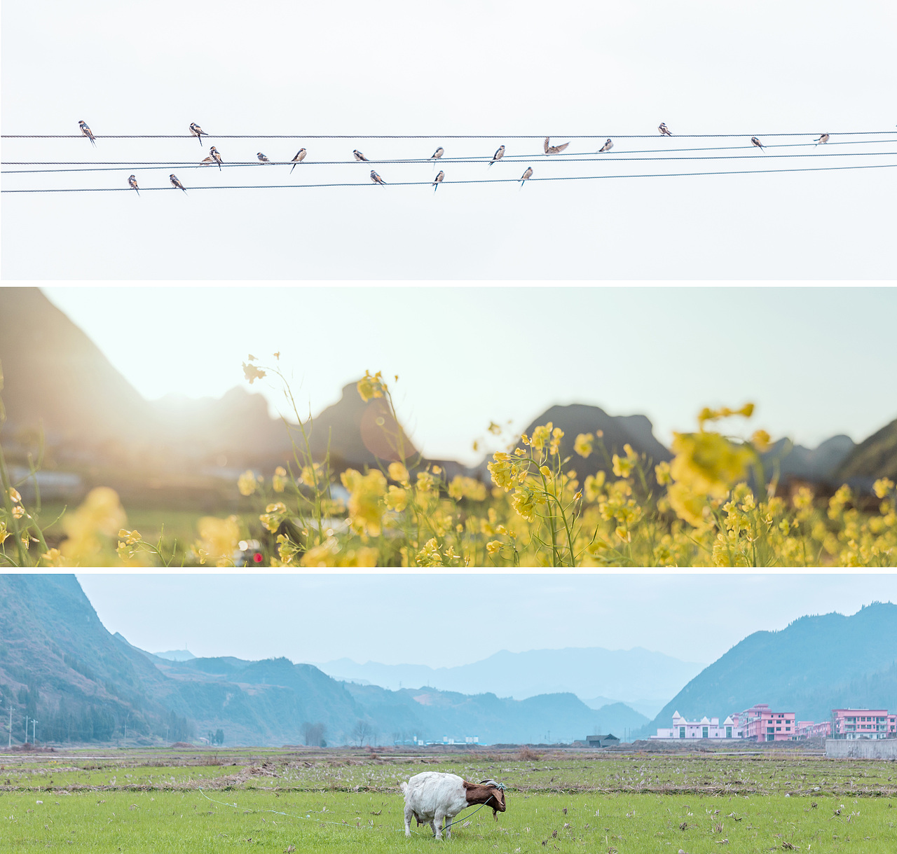 但愿人生所向,皆是美好。