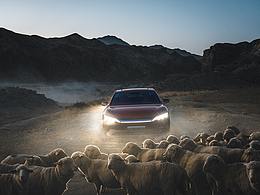 作业分割法素材素材