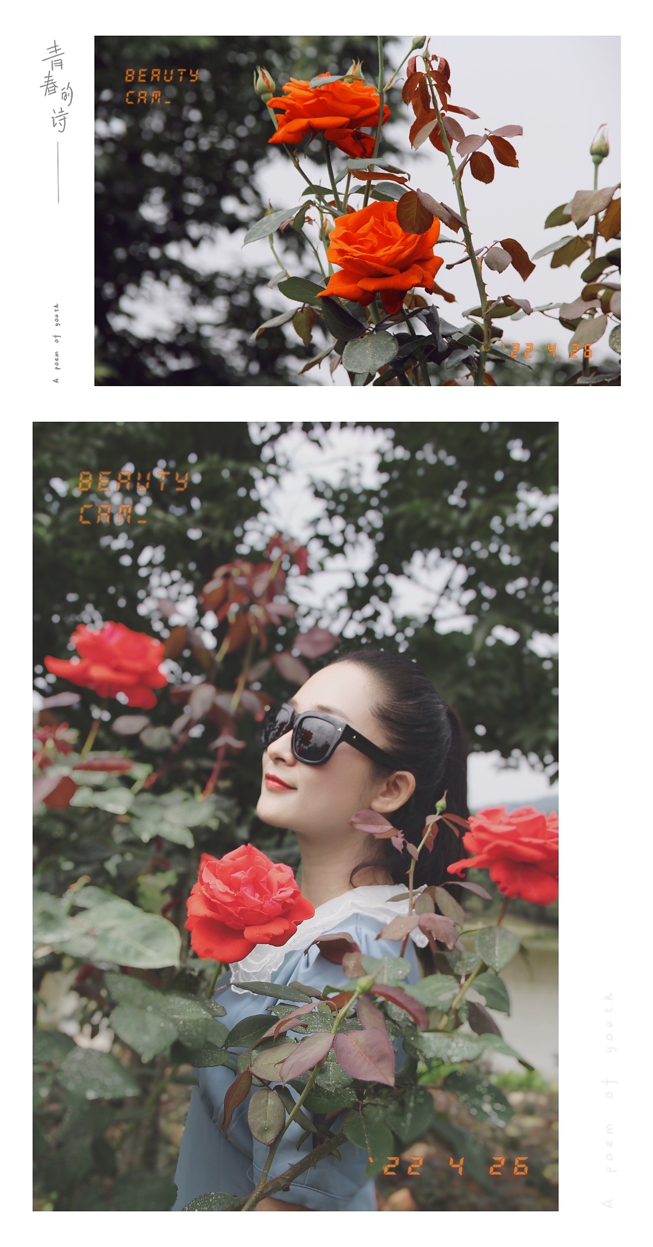 青秀山·东门_月季花开（图ZMjk4OTYwMjY4） - 人像摄影 - 站酷设计师蔡辉辉_up原创素材 - 站酷ZCOOL