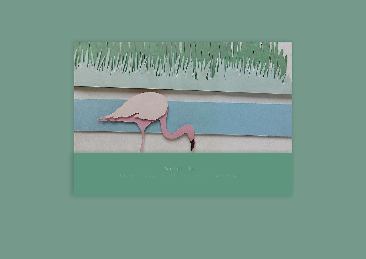 刻纸Wildlife（图ZNzY1Njc1ODQ=） - 创作习作 - 站酷设计师1242354332太好原创素材 - 站酷ZCOOL