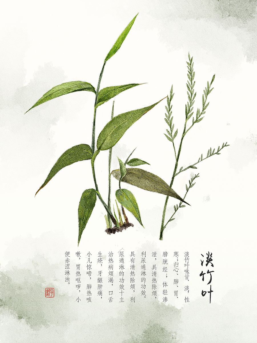 水彩风植物插画