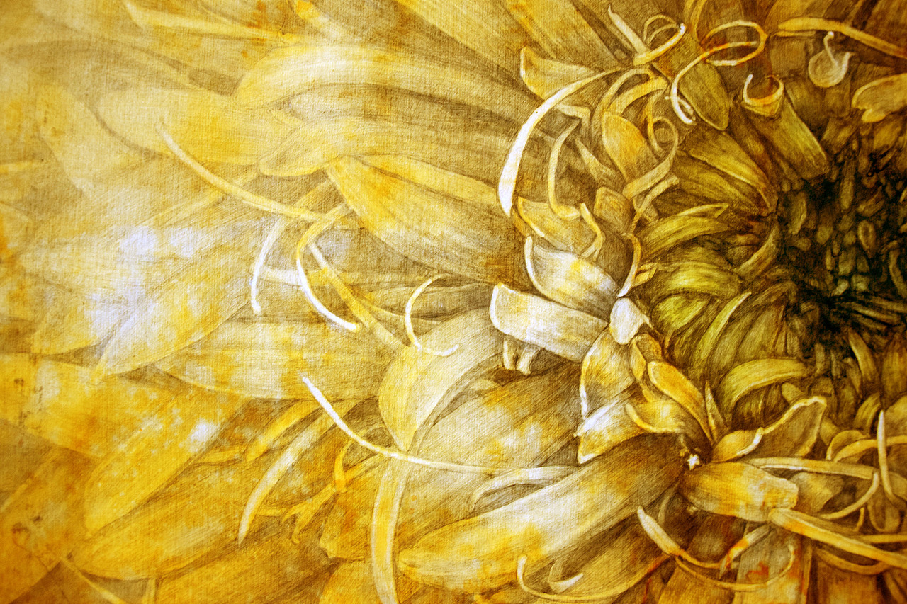 手绘《生命之花》