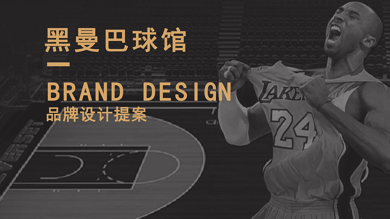黑曼巴球馆品牌提案