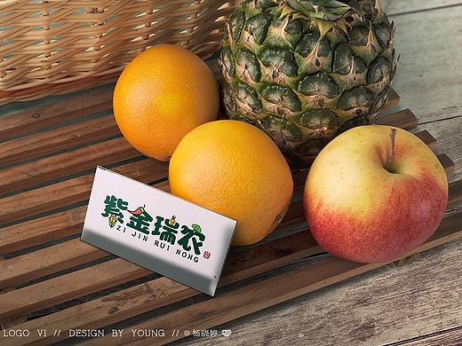 CASE--紫金瑞农 农产品销售 品牌logo设计