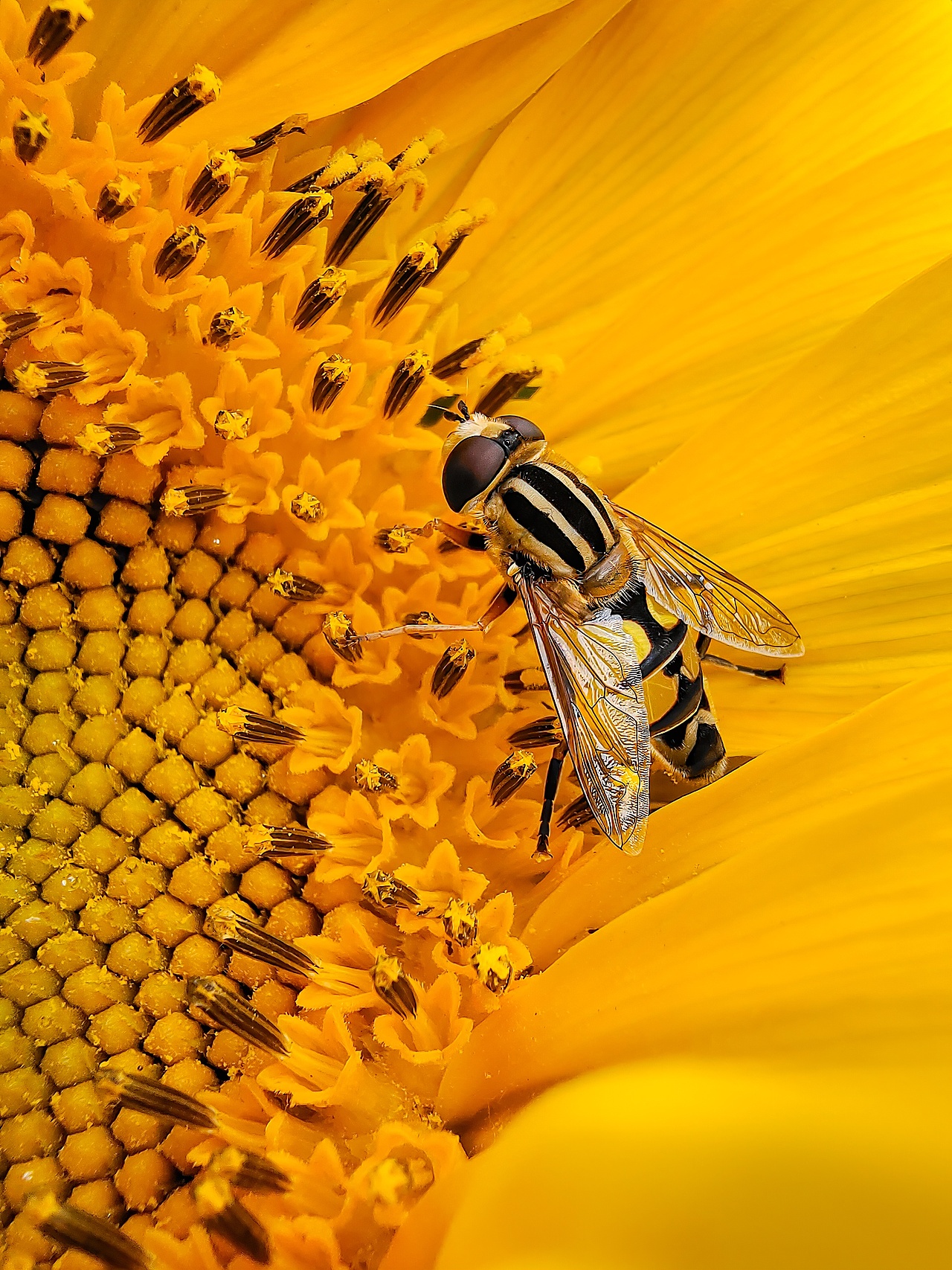 手机摄影 - 内蒙青海