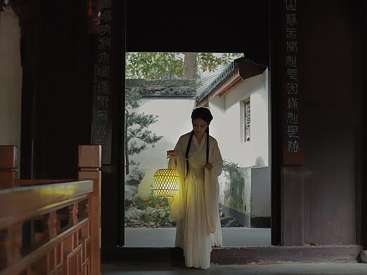白马入芦花